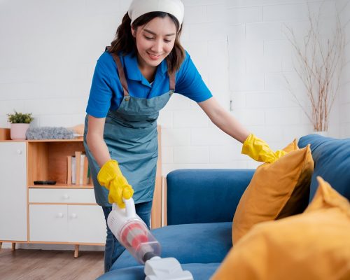 NDIS Household Tasks